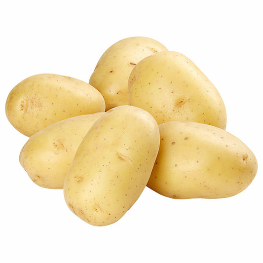10 LB Gold Yellow potato